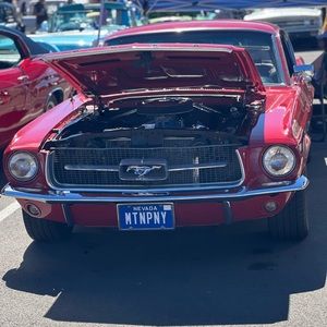 Meet your Posher, Jonah